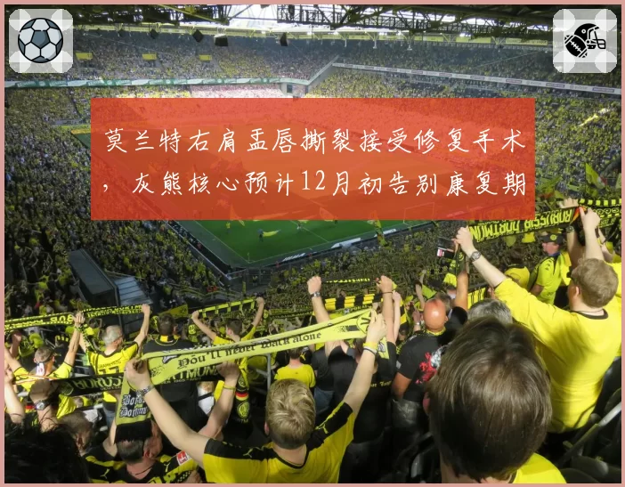 莫兰特右肩盂唇撕裂接受修复手术，灰熊核心预计12月初告别康复期